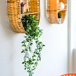 Sea Breeze Boutique *